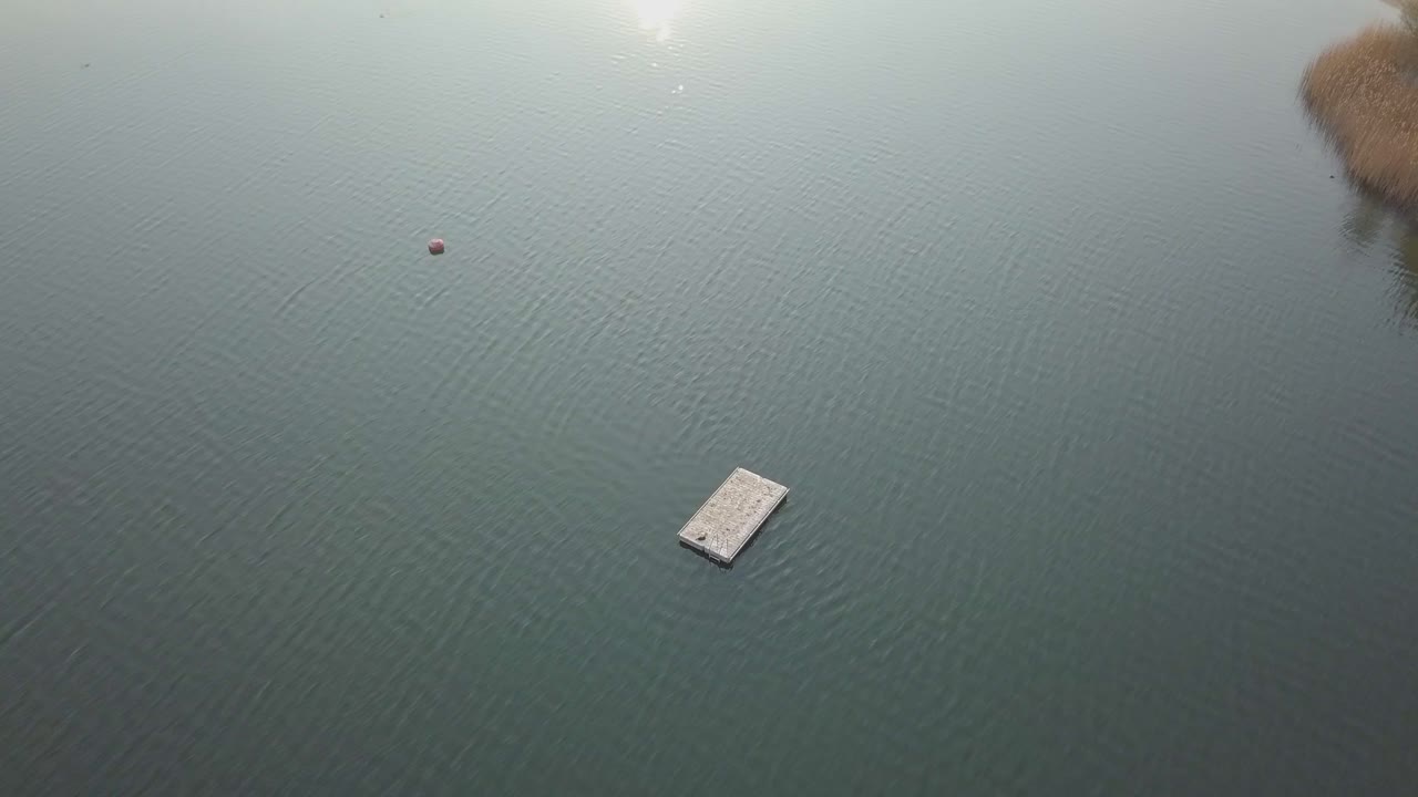 volar sobre el tablero en el lago imágenes de drones