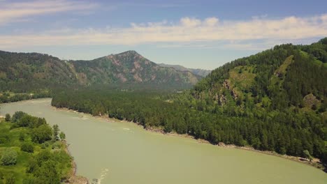 vuelo aéreo sobre un río de montaña con corriente rápida también visibles rápidos del río bosque de pinos