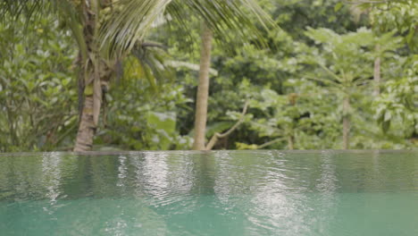 luxury swimming pool set in lush valley