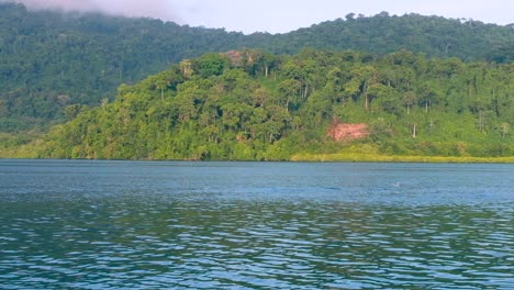 Small-tuna-leaping-out-of-the-sea-in-a-feeding-and-fishing-frenzy-in-Bougainville,-Papua-New-Guinea-and-the-Solomon-Islands