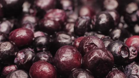 close-up of frozen blueberries