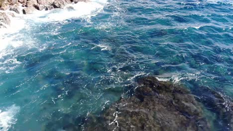 turtle-surfaces-on-hawaii-coastline-for-a-breath