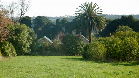 antigua casa de campo abandonada. tiro inclinado hacia arriba