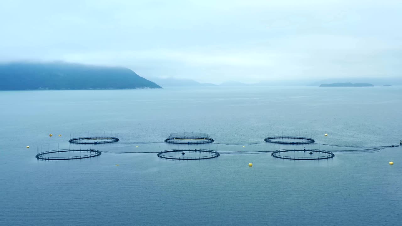 노르웨이에서 연어  ⁇ 시를 하는 공중 촬영