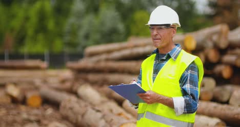 engineer working at wood industry 3