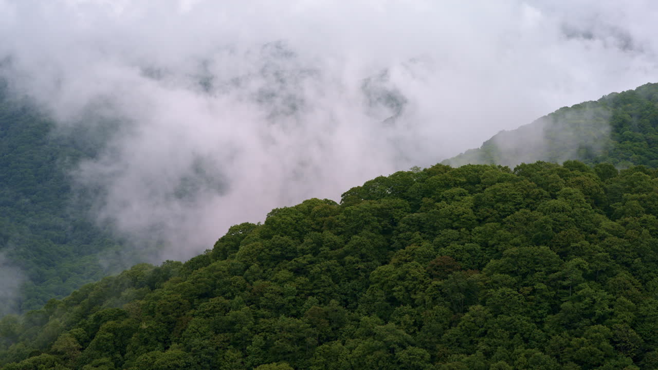Fog and mist settle into the valleys of the Smoky Mountains