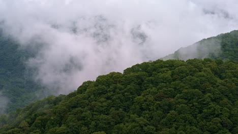 fog and mist settle into the valleys of the smoky mountains