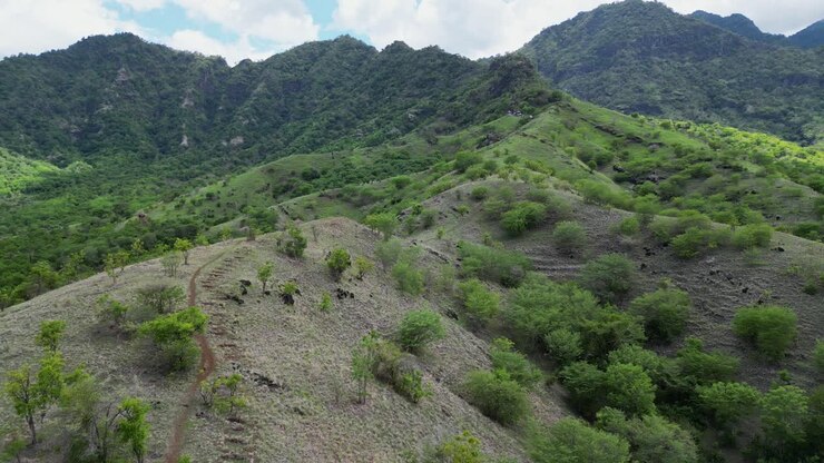 Drone che vola sopra le montagne al tramonto coperte da vegetazione verde