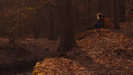 establisher shot of young girl shooting photographs in autumn fall forest