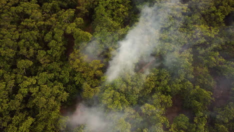 white smoke rising from dense jungle forest in vietnam, fly over view