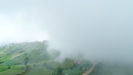 scenic drone footage of cabbage plantation with foggy weather in background