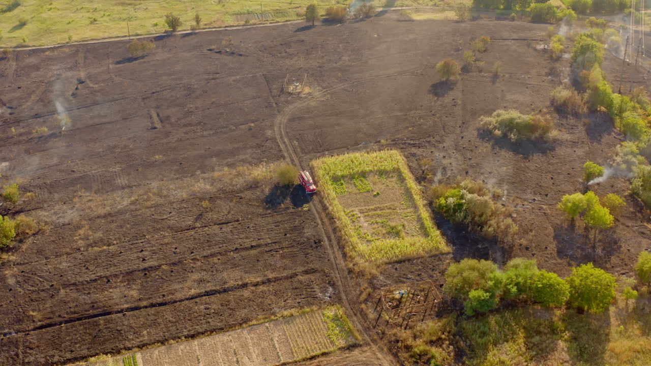 Dry grass field on fire. Aerial view of fireman truck working on the field on fire
