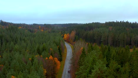 Viaje-En-Coche-Con-Vista-Aérea-En-La-Carretera-Forestal-Escénica-Sueca,-Temporada-De-Otoño