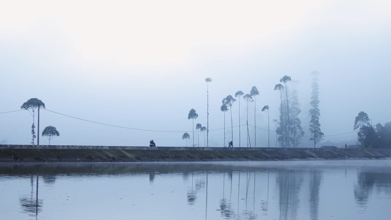 Peaceful landscape of a lake and trees covered in fog