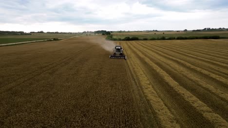 Aerial-View-of-Grain-Harvester-in-Agricultural-Land-Harvesting-Wheat,-Static-Drone-Shot