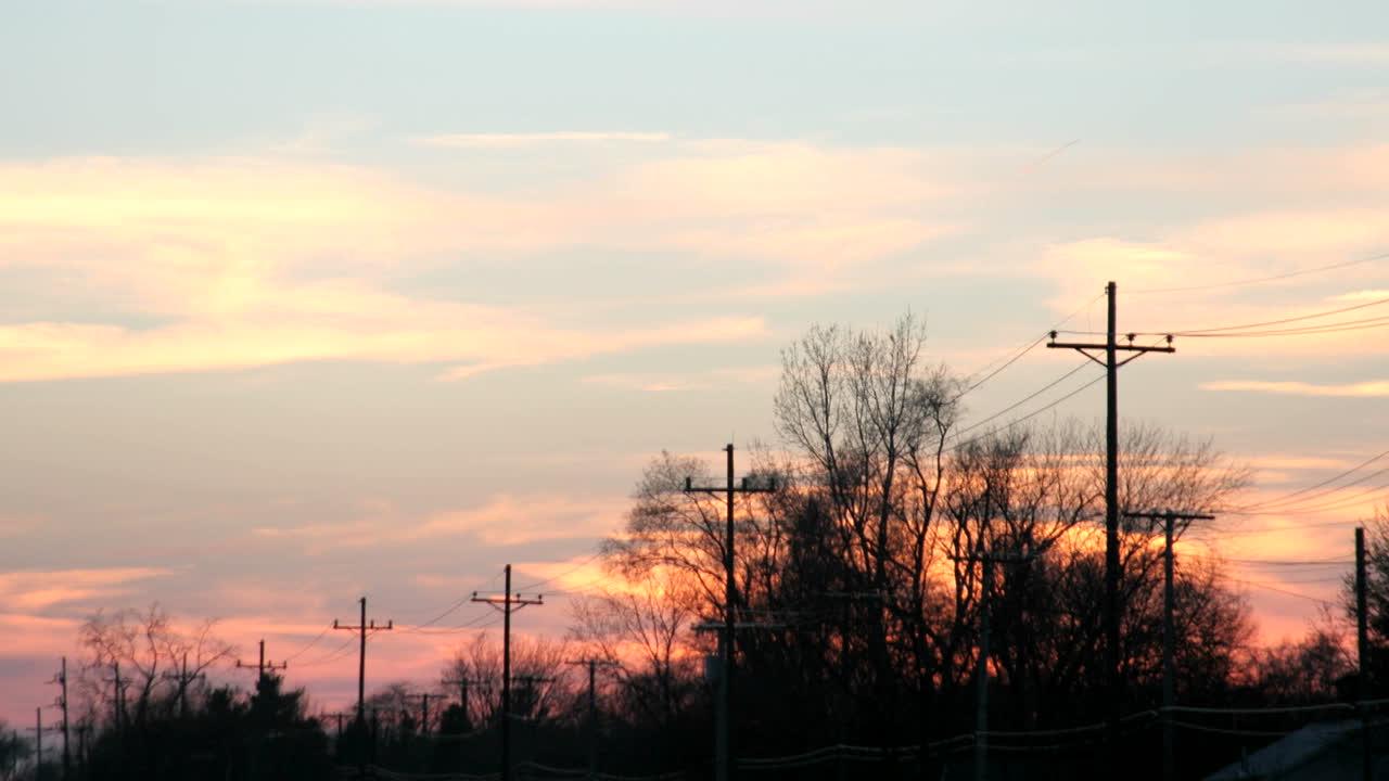 주황색과 분홍색 하늘이 밝아졌다가 나무 실루엣 뒤로 사라집니다.