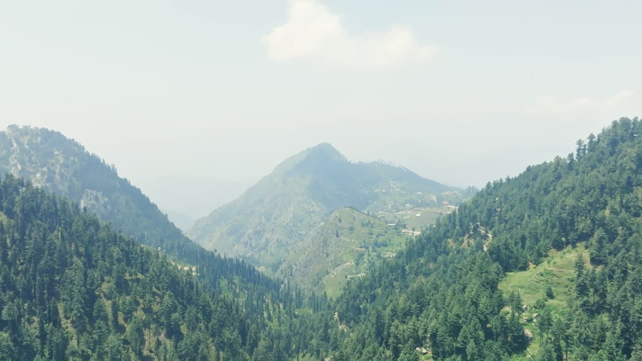 View of tall and green trees on hills captured from Malam Jabba SWAT resort in Pakistan during daytime