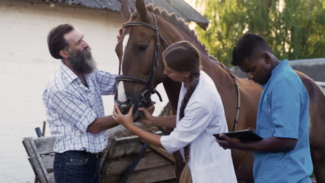 farmer holding horse's rein to keep it tranquil