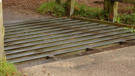 close-up-of-a-red-car-going-over-a-cattle-grid-in-the-New-Forest