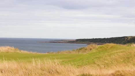 scenic view of sea and hills