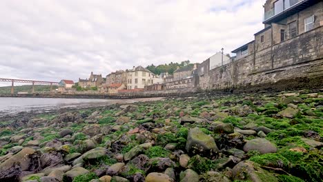 moss-covered rocks along the shoreline