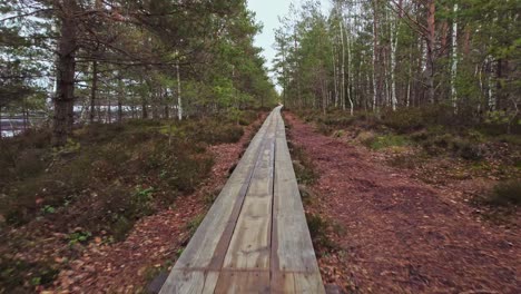 low aerial flying above narrow wooden boardwalk in swamp forest landscape