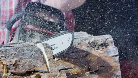 chainsaw cutting a log