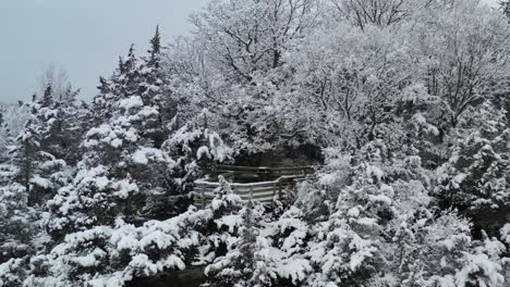 Antena-Del-Bosque-Del-País-De-Las-Maravillas-Invernales-Que-Desciende-Desde-La-Plataforma-De-Observación-Cubierta-De-Nieve