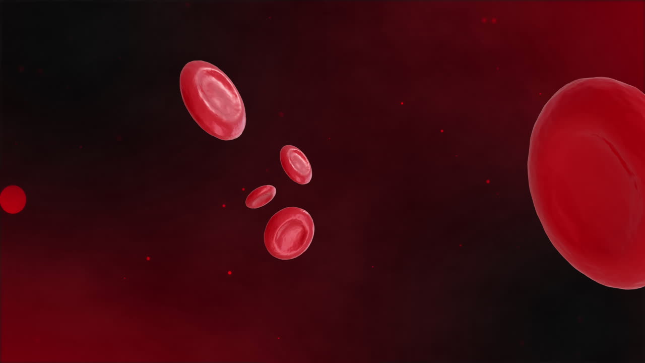 animación de micro de células rojas de la sangre sobre un fondo negro
