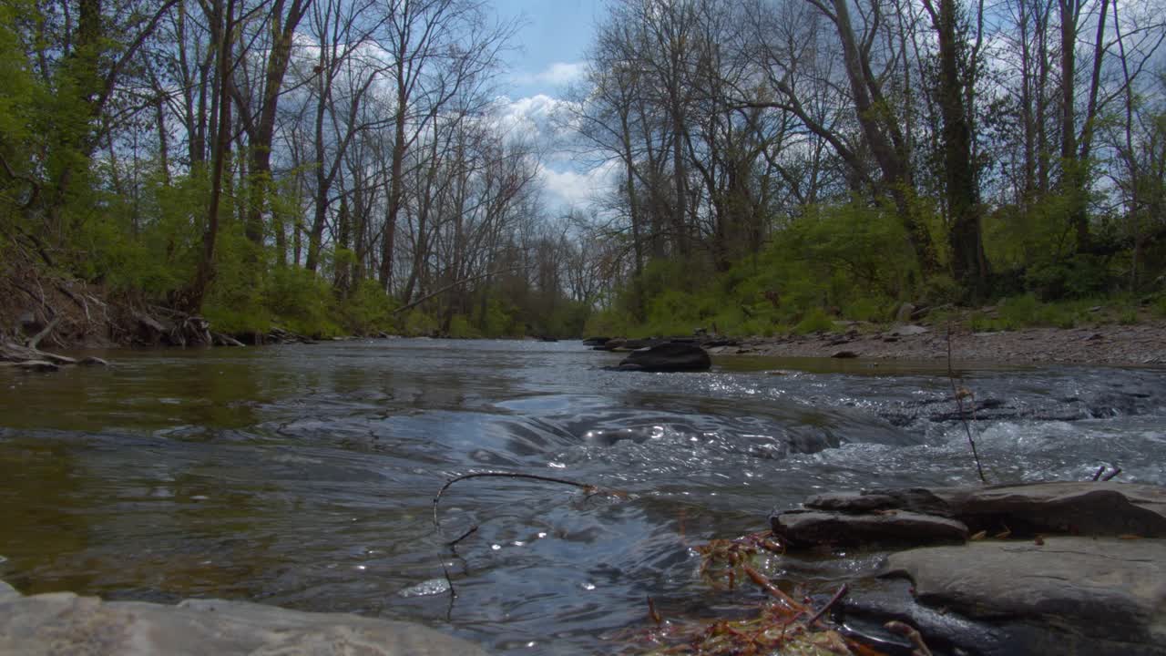 Ruscello nel bosco con acqua pulita che scorre durante la primavera in Appalachia.