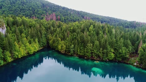 drone moves calmly above turquoise lake and pine forest under cloudy sky, italy