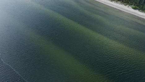 green undercurrents ripple across shallow baltic sea waters near apšuciems coast
