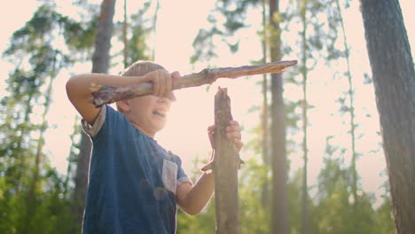 boy in the forest collects firewood. collecting dry firewoods in summer forest at camping. brushwood for camp fire in summer hike.