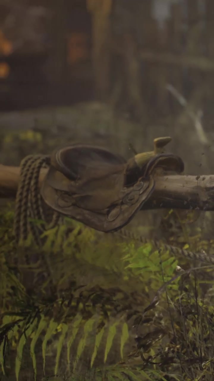 Saddle resting on a wooden post in a green forest setting