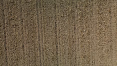 zenital aerial view of the cropland without any plants