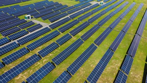 aerial view. top view on blue solar pannels. green energy. pannels in the field.