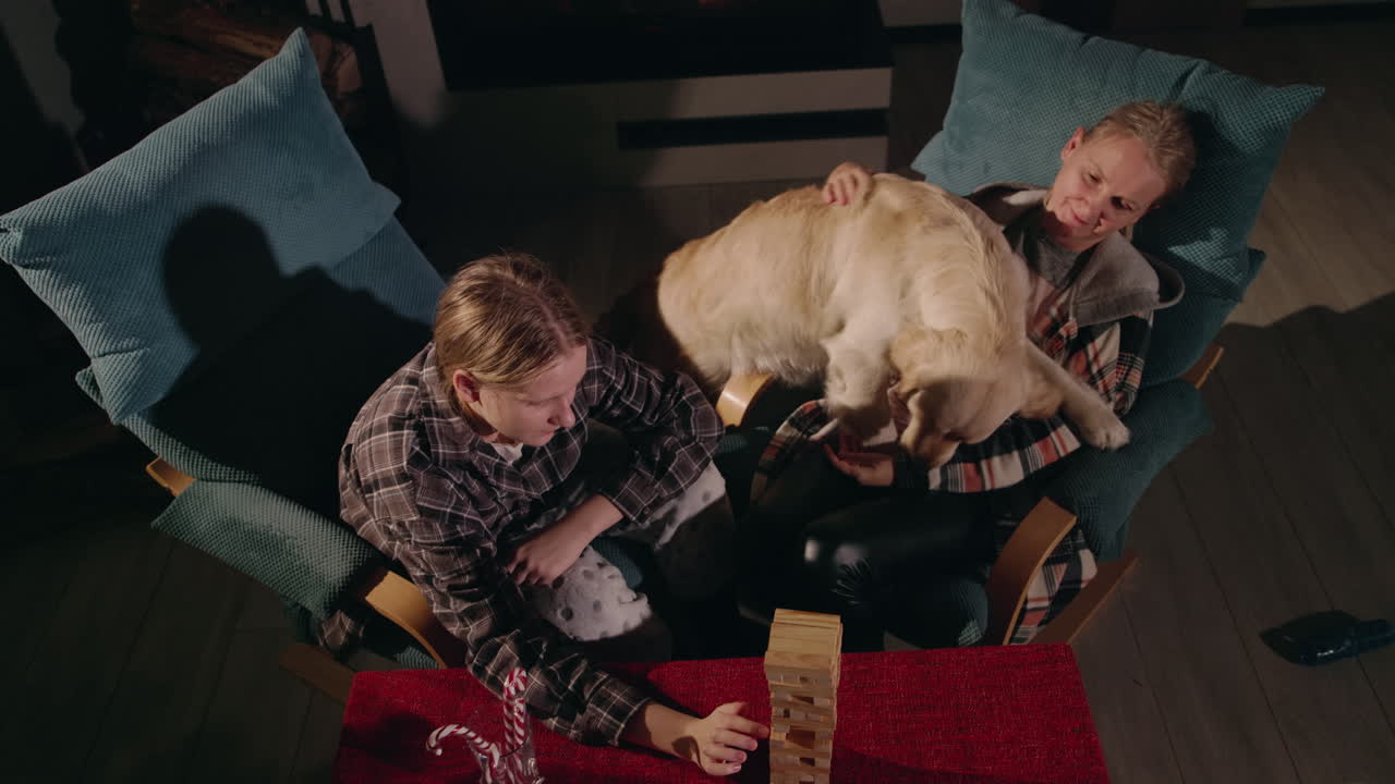 개 와 함께 놀고 있는 가족