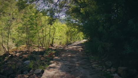 sendero de senderismo en alcafache viseu cámara lenta gimbal tiro