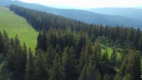 aerial drone shot of a beautiful mountain landscape with trees