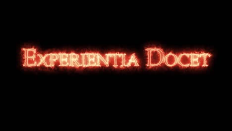 experientia docet escrito con fuego. bucle