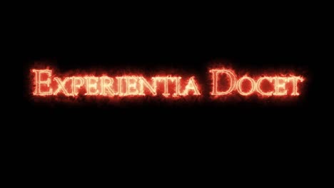 experientia docet written with fire. loop