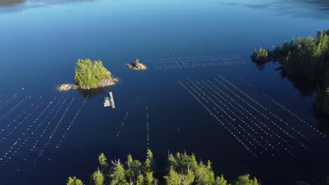 Acuicultura-En-Columbia-Británica-Canadá,-Una-Granja-De-Ostras-En-El-Océano-En-La-Costa-Oeste-De-La-Isla-De-Vancouver