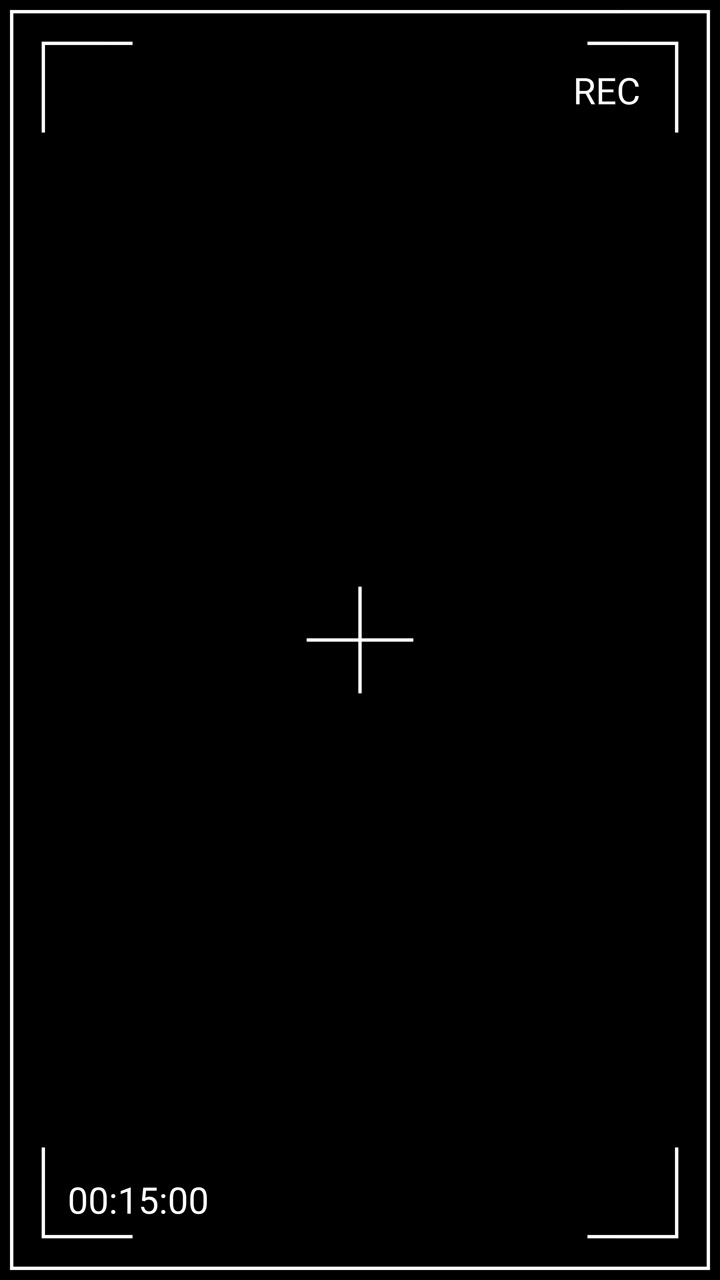 Digital Camera Recording Interface Overlay with Timecode