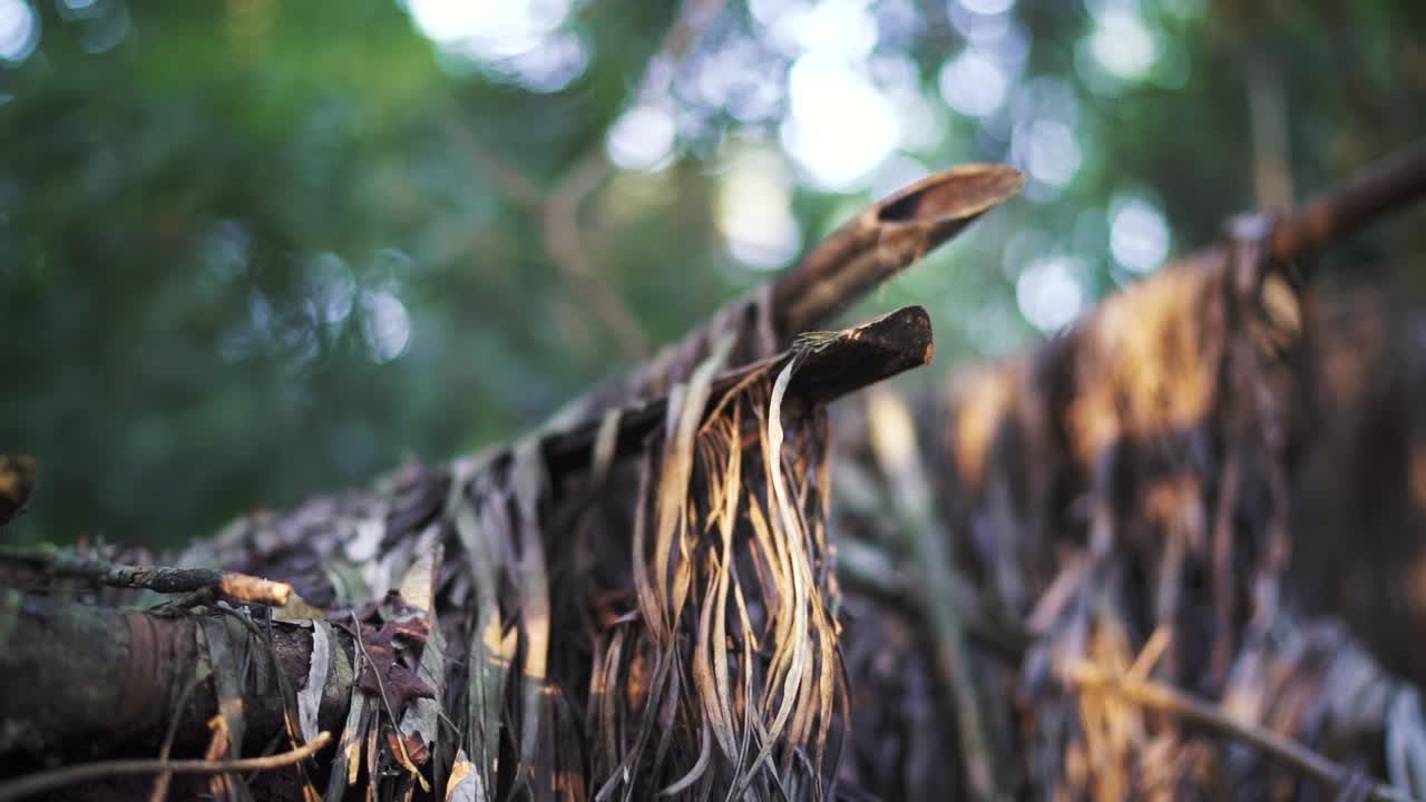 Wooden handmade hut in the jungle of Misiones, Argentina..