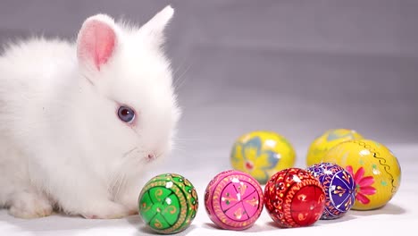 cute white bunny with colorful easter eggs