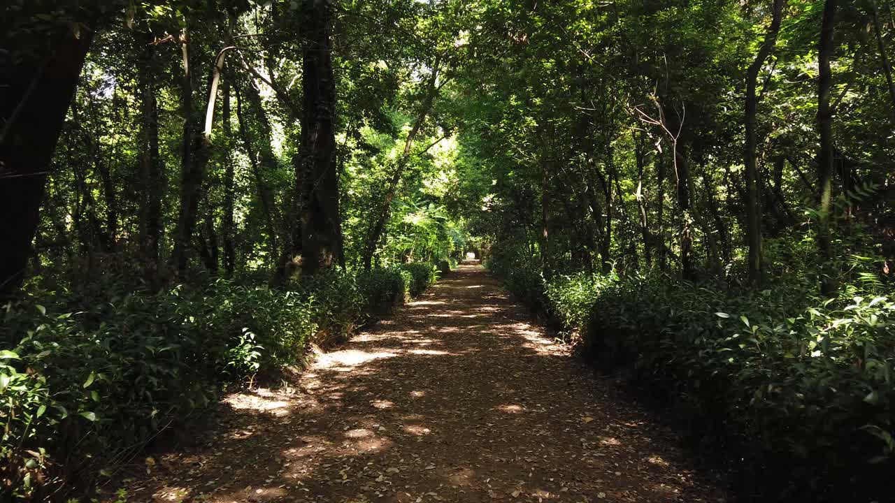 아름다운 숲길을 걷다