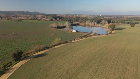 Luftvideo-Eines-Neu-Gesäten-Feldes-Mit-Einer-Unbefestigten-Straße-In-Der-Mitte-Und-Bergen-Im-Hintergrund-Grünes-Kultiviertes-Feld-Von-Llagostera-Gerona