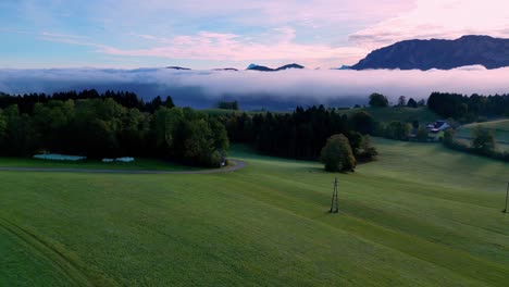 Morning-aerial-view-of-a-lush-green-field-with-a-winding-dirt-path,-a-lake-with-clouds,-and-a-line-of-trees-in-the-distance,-under-a-clear-blue-sky