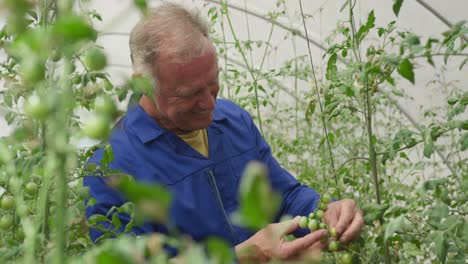 Mature-man-working-on-farm