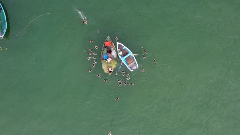 Drone-4k-De-Arriba-Hacia-Abajo-De-Un-Barco-De-Pesca-Con-Pájaros-A-Su-Alrededor